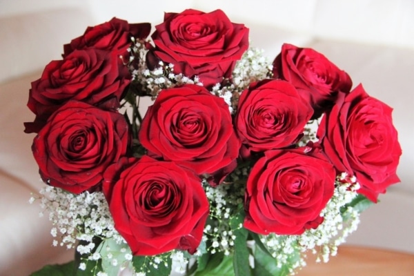 Ramo de Flores Rosas de Jabón de 2 Uds, Rosa Eterna para El Día de , , Sala  de perfecl Ramo de flores de jabón